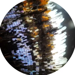 Bresser Durchlichtmikroskope|Auflichtmikroskope><noscript><img width=
