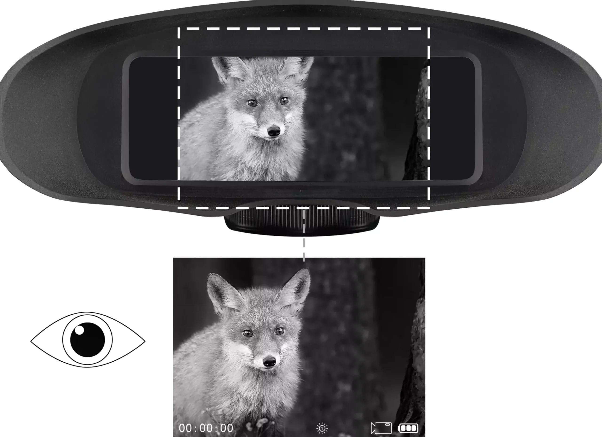Bresser Nachtsichtgeräte>Digital Nachtsichtgerät Binokular 3,5x m. Aufnahme Monochrom
