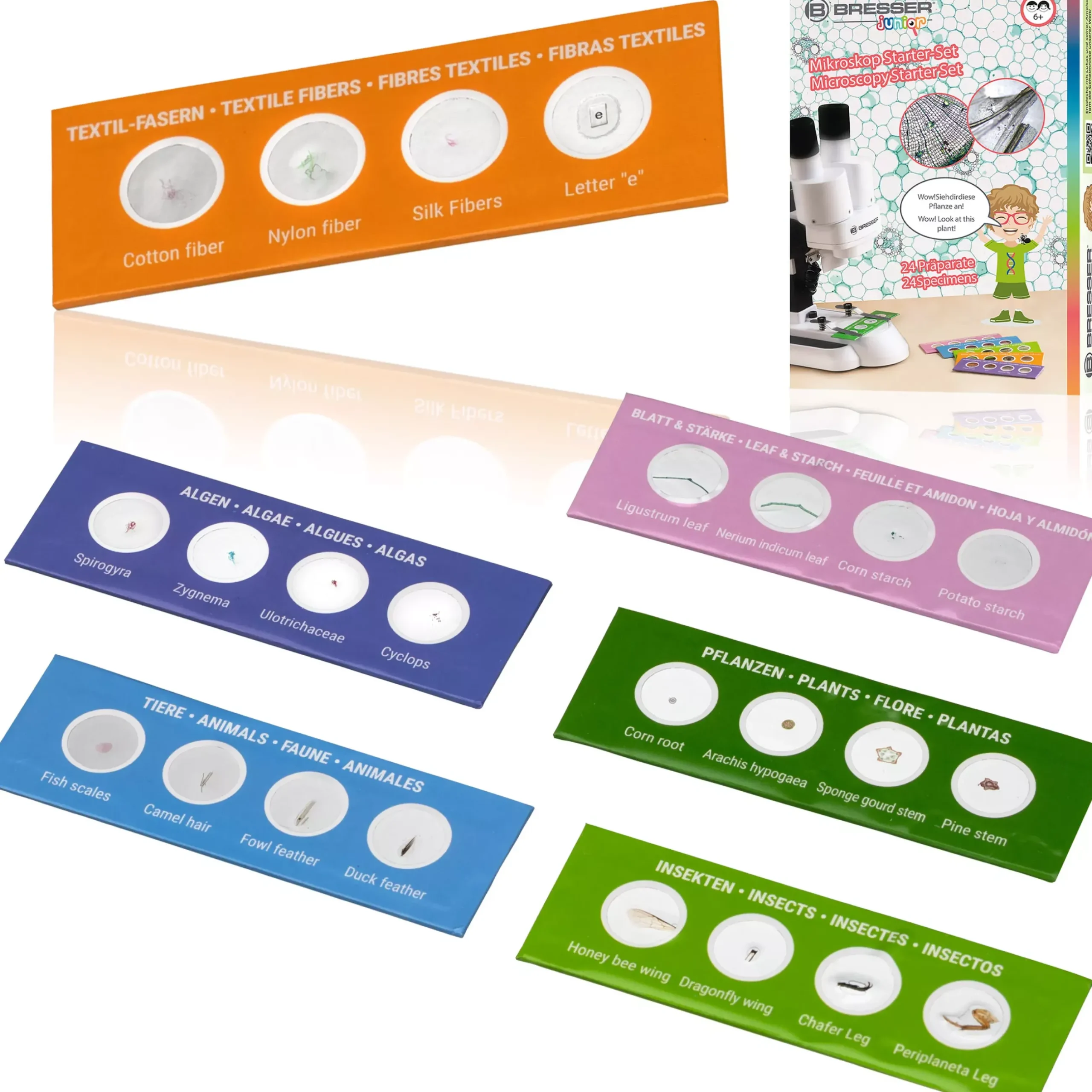 Kinder Bresser Kindermikroskop|Lernen & Entdecken>JUNIOR 24 Dauerpräparate Mikroskop-Starter-Set