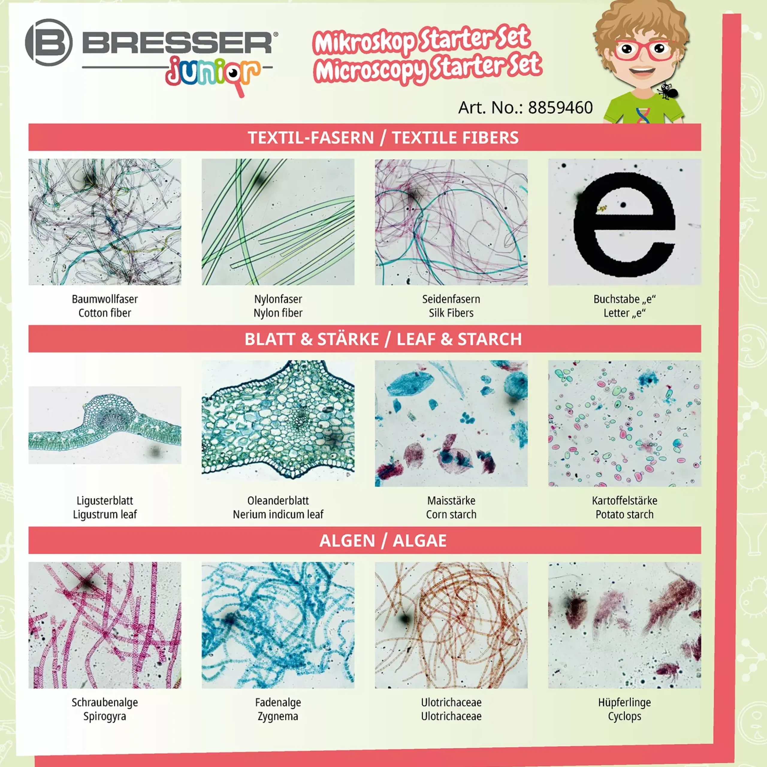 Kinder Bresser Kindermikroskop|Lernen & Entdecken>JUNIOR 24 Dauerpräparate Mikroskop-Starter-Set