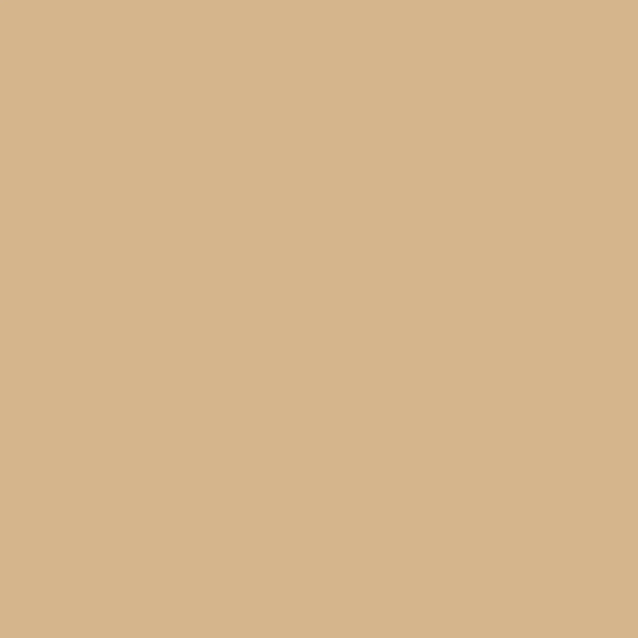 Bresser Papierhintergründe>SBP15 Papierhintergrundrolle 2,72 x 11m Beige