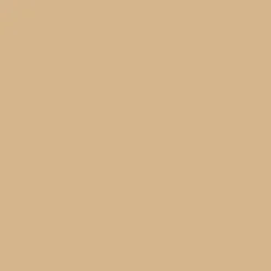 Bresser Papierhintergründe>SBP15 Papierhintergrundrolle 2,00 x 11m Beige