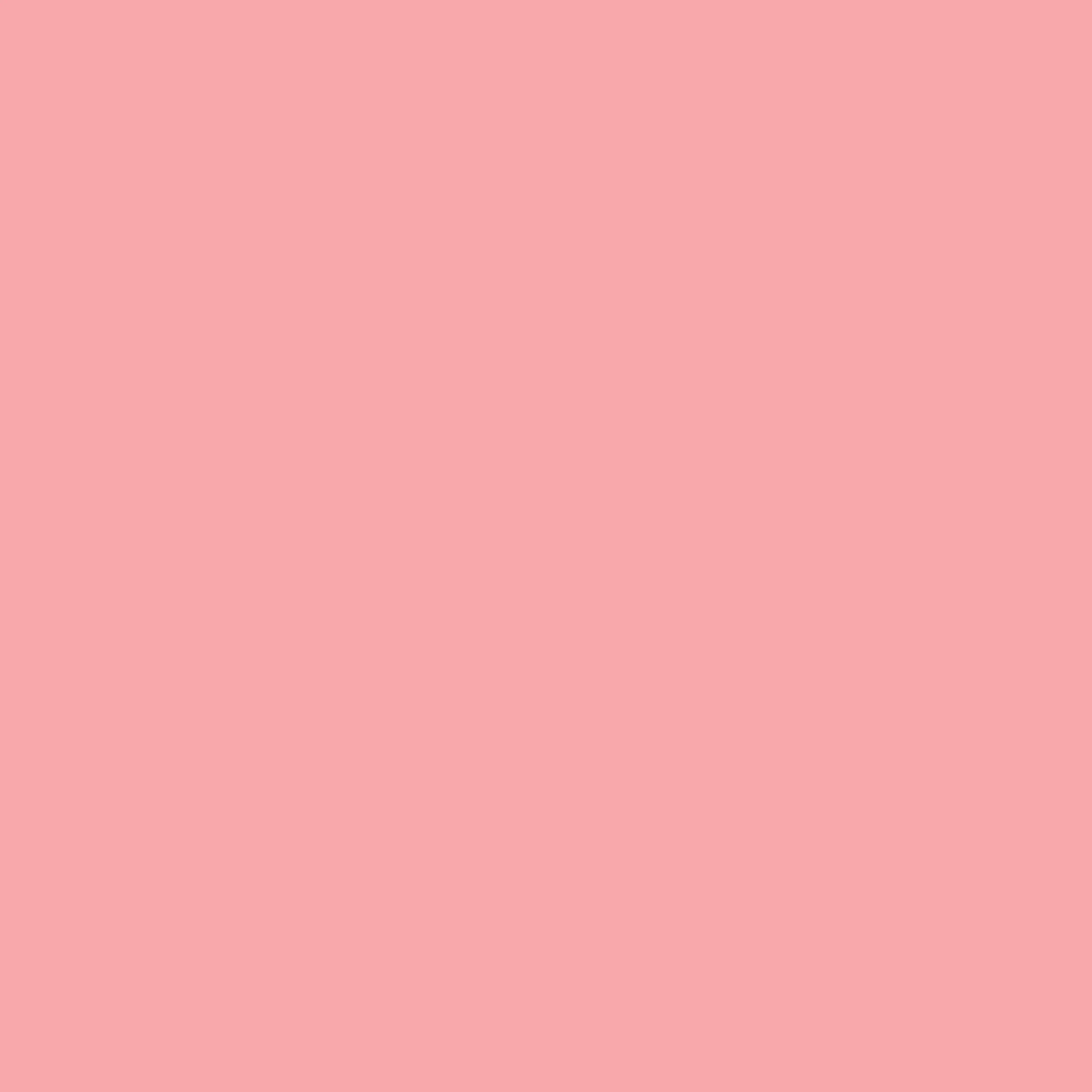 Bresser Papierhintergründe>SBP12 Papierhintergrundrolle 2,72 x 11m Rosa
