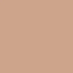 Bresser Papierhintergründe>SBP29 Papierhintergrundrolle 1,36 x 11m Helles Beige