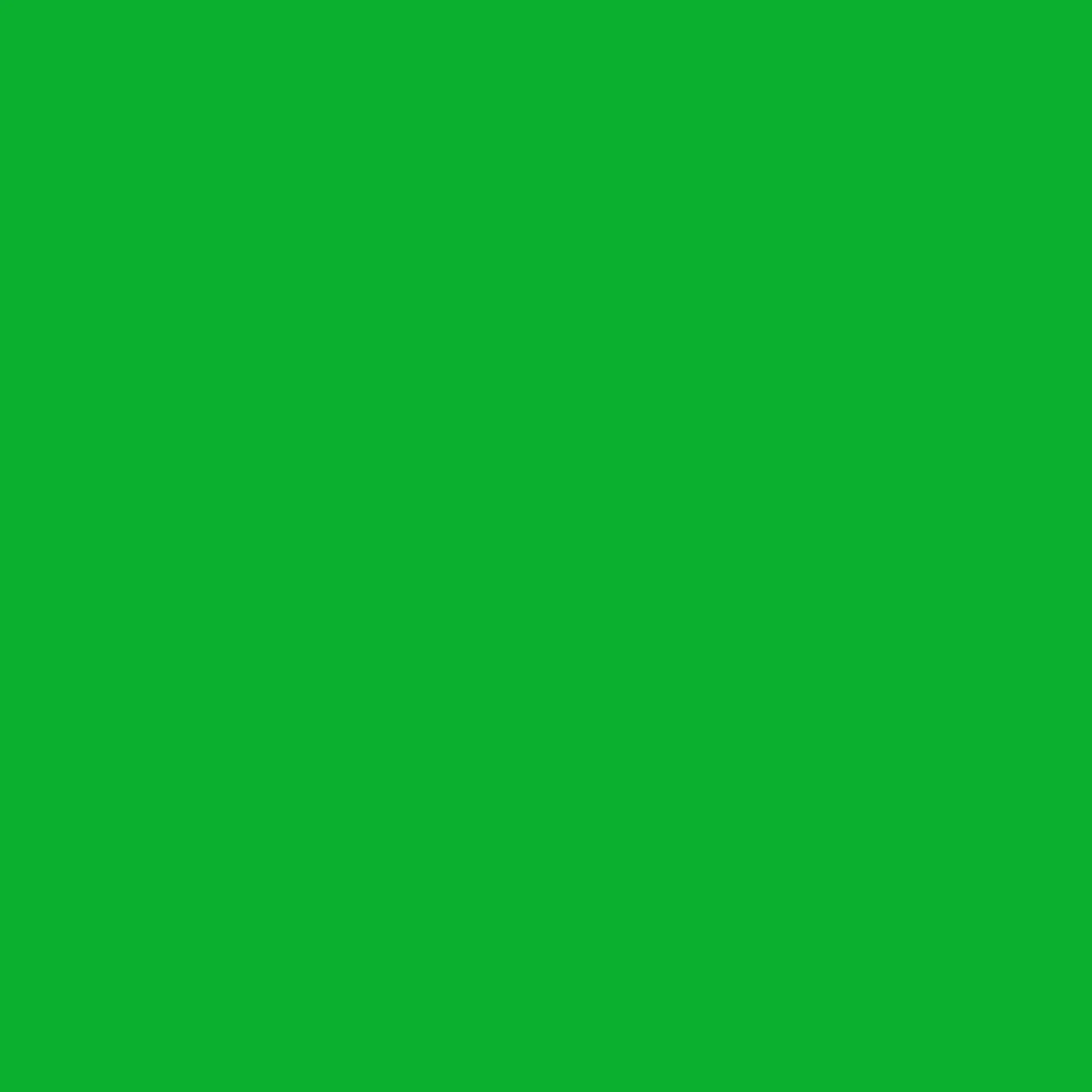 Bresser Papierhintergründe|Greenscreenhintergünde>SBP10 Papierhintergrundrolle 3,56 x 15m Greenscreen/ Chromakey Grün