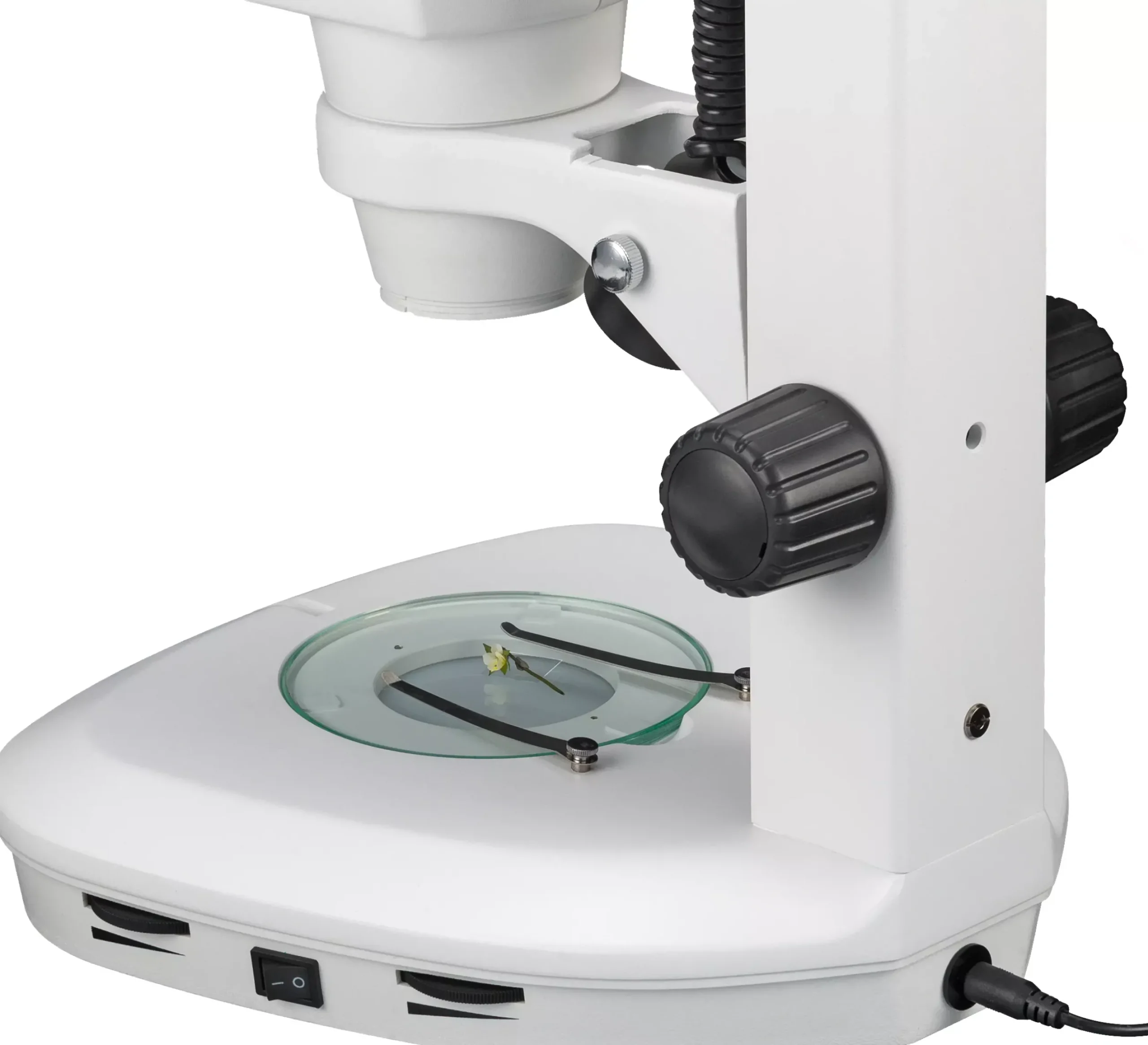 Bresser Durchlichtmikroskope|Auflichtmikroskope>Science ETD-201 8-50x Trino Zoom-Stereomikroskop (30)