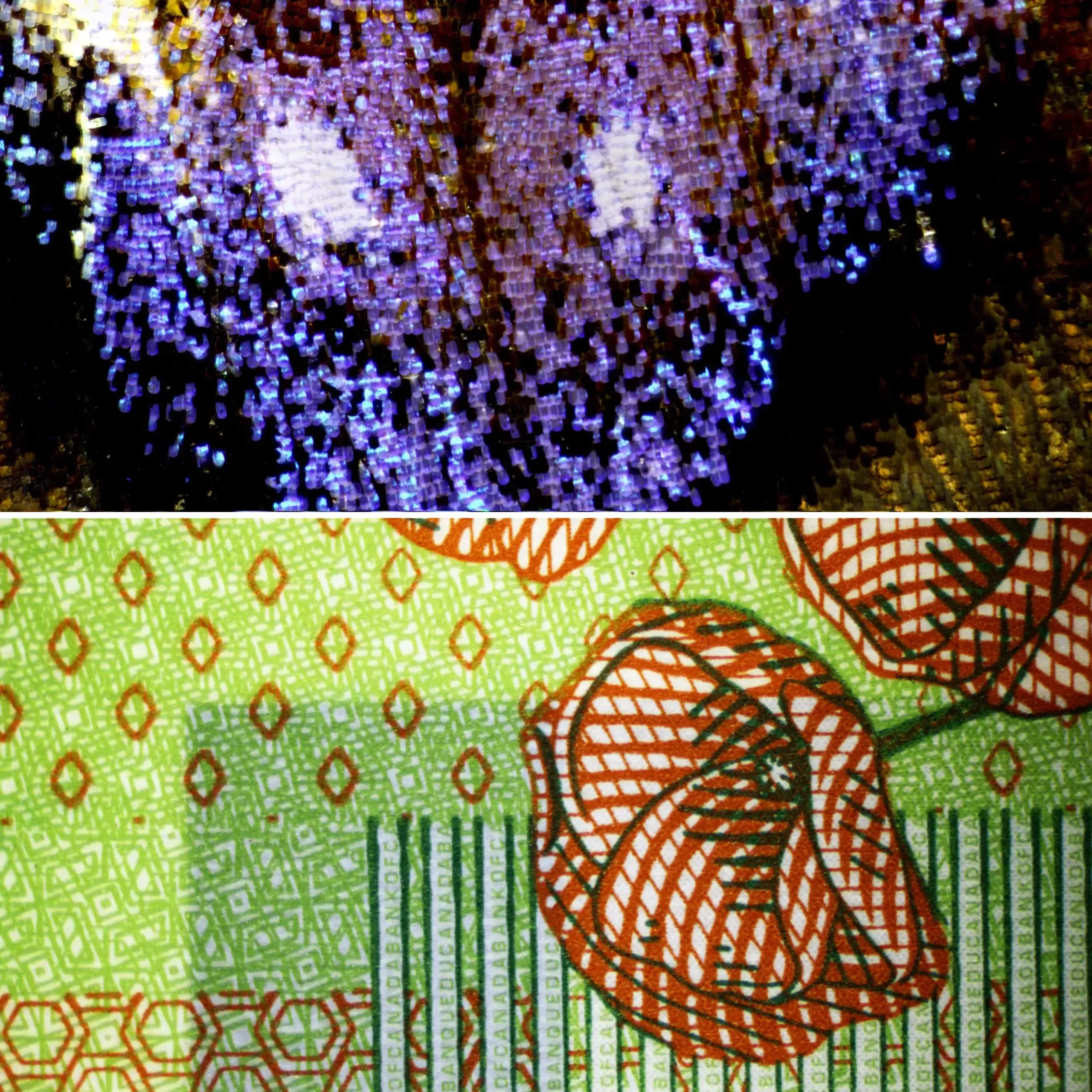 Bresser Durchlichtmikroskope|Auflichtmikroskope>Science ETD-301 7-63x Trino Zoom-Stereomikroskop (30)