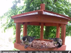 Bresser Wildkameras><noscript><img width=