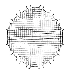 Bresser Wabengitter>Wabe für Super Quick Octabox 65 cm