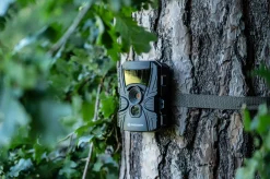Bresser Wildkameras><noscript><img width=