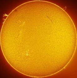 Bresser H-Alpha-Filter>LUNT LS60FHa/B600d1 H-Alpha Sonnenfilter