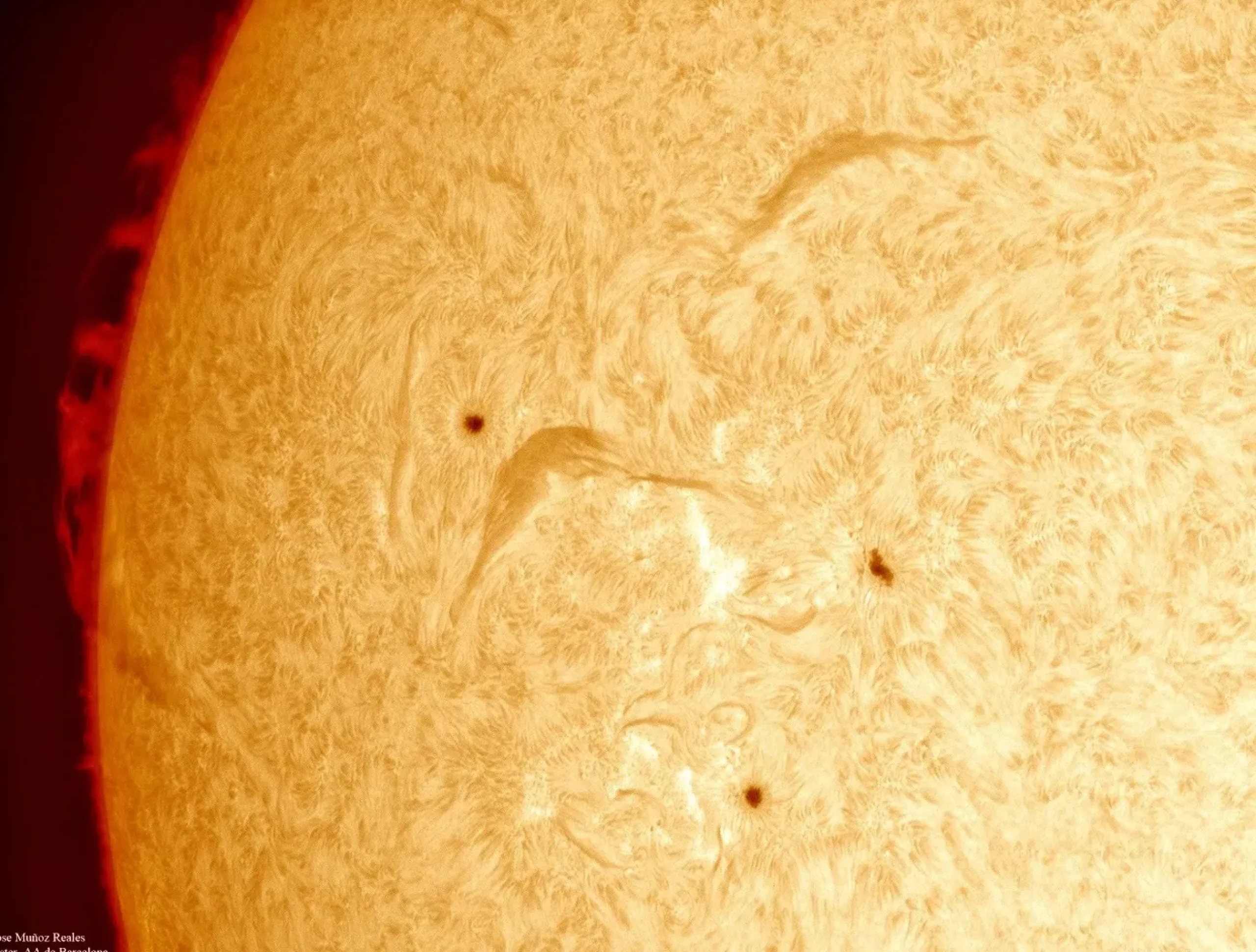 Bresser H-Alpha-Filter>LUNT LS100FHa/B600d2 H-Alpha Sonnenfilter
