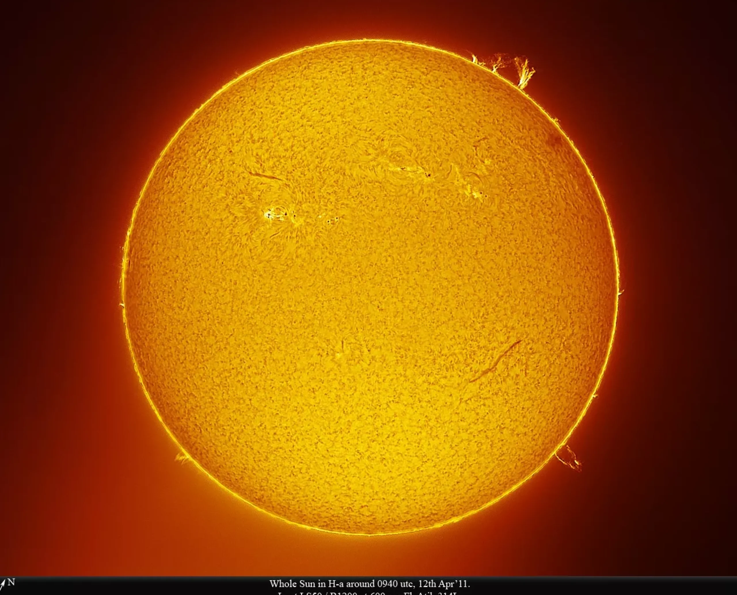 Bresser H-Alpha-Filter>LUNT LS50FHa/B1200d1 H-Alpha Sonnenfilter