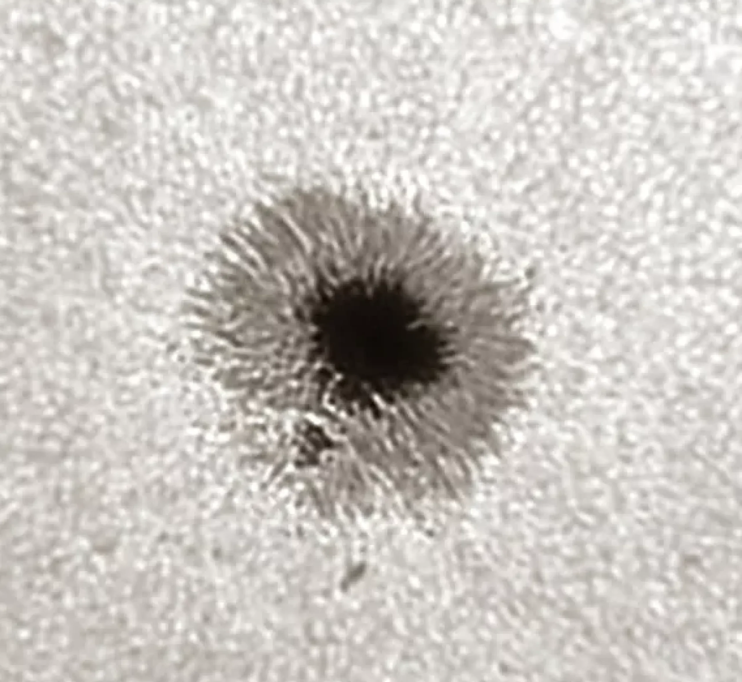 Bresser Weißlicht-Filter|Weißlichtfilter Für Sonnenbeobachtung>LUNT LS1.25HW 31,7mm (1,25'') Herschel-Keil