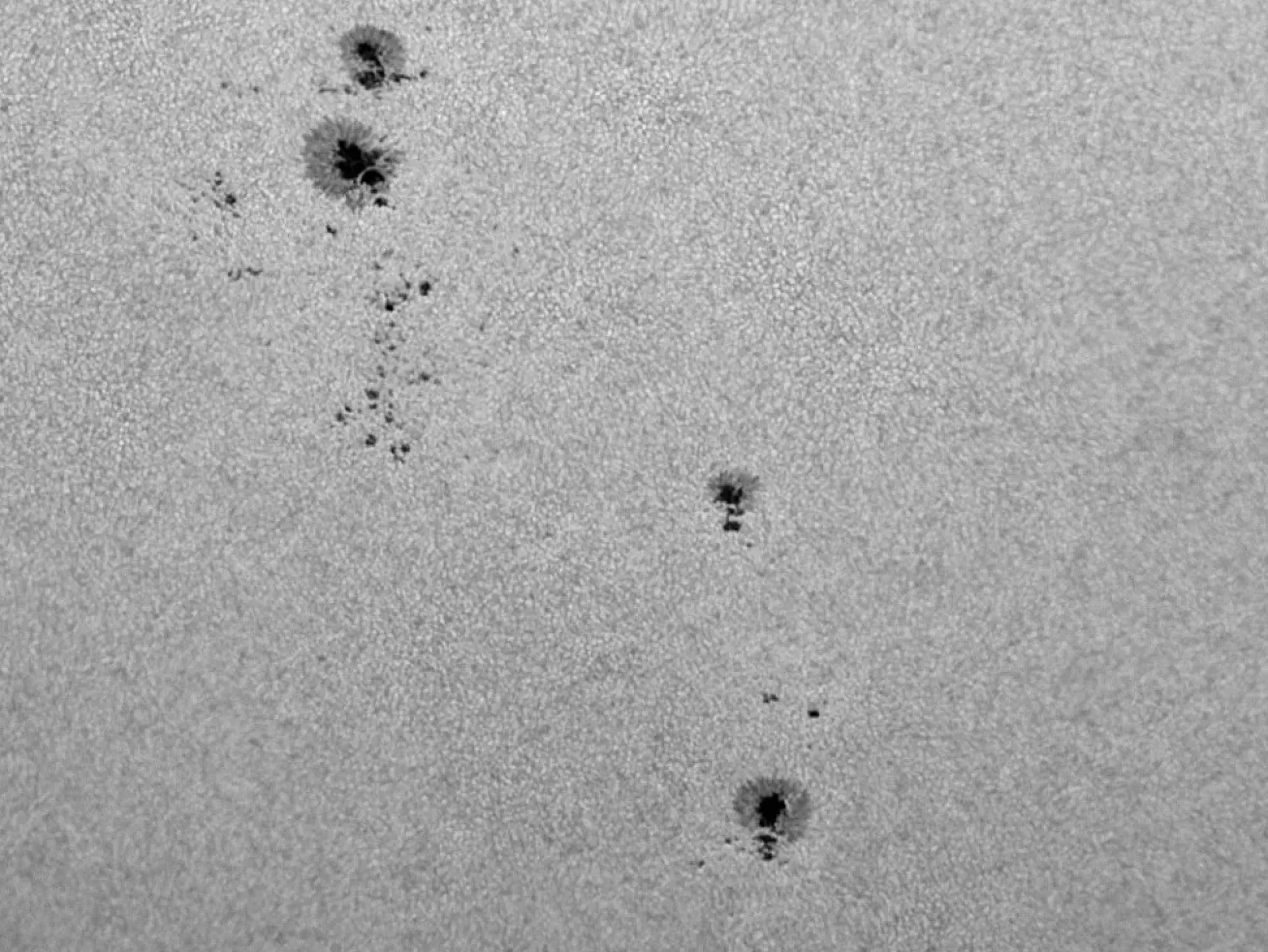 Bresser Weißlicht-Filter|Weißlichtfilter Für Sonnenbeobachtung>LUNT LS2HW 50,8mm (2'') Herschel-Keil