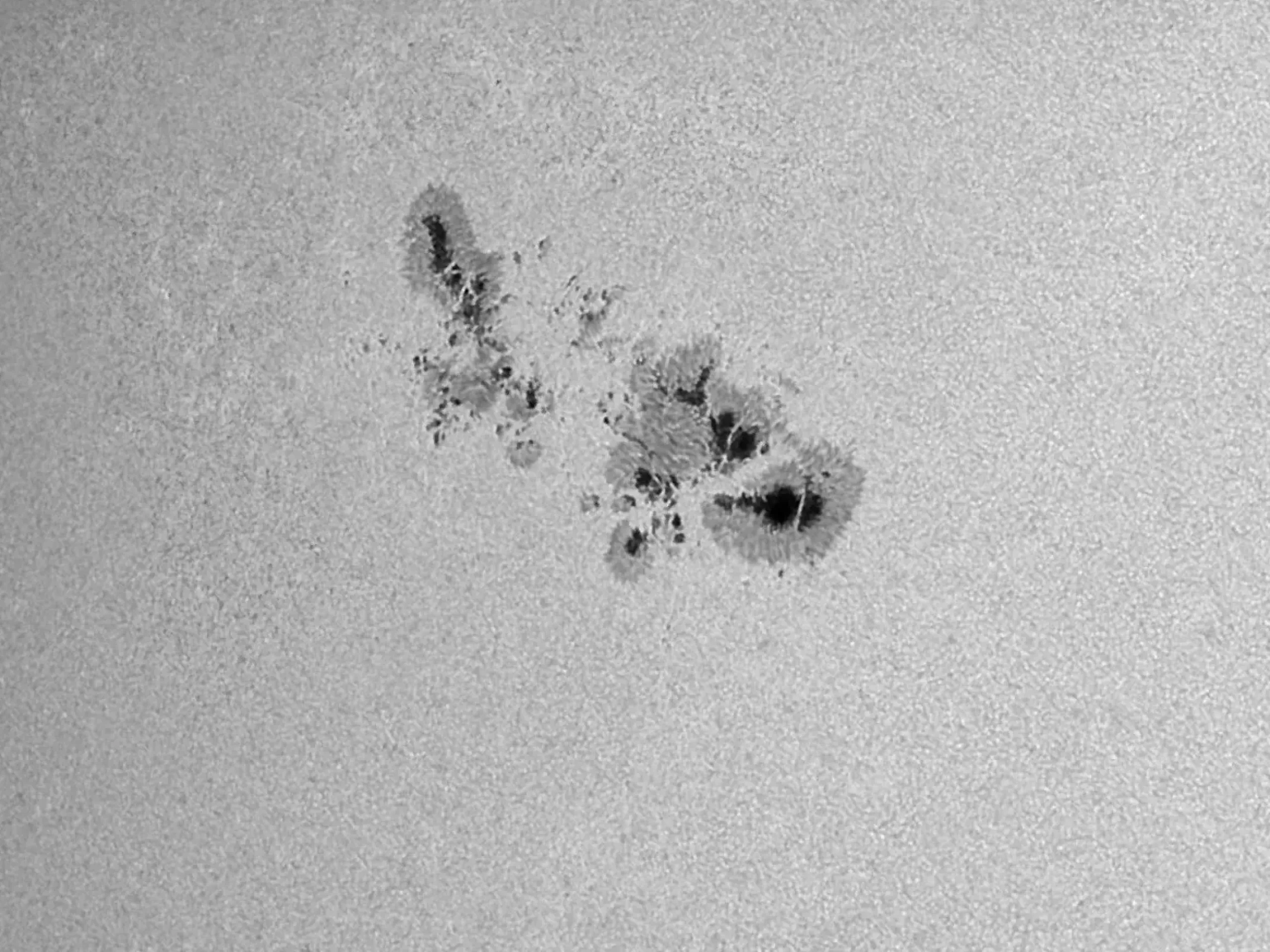 Bresser Weißlicht-Filter|Weißlichtfilter Für Sonnenbeobachtung>LUNT LS2HW 50,8mm (2'') Herschel-Keil
