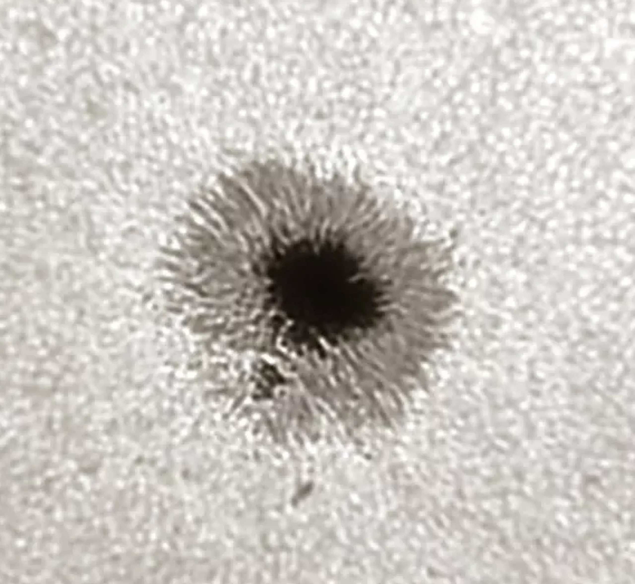 Bresser Weißlicht-Filter|Weißlichtfilter Für Sonnenbeobachtung>LUNT LS2HW 50,8mm (2'') Herschel-Keil