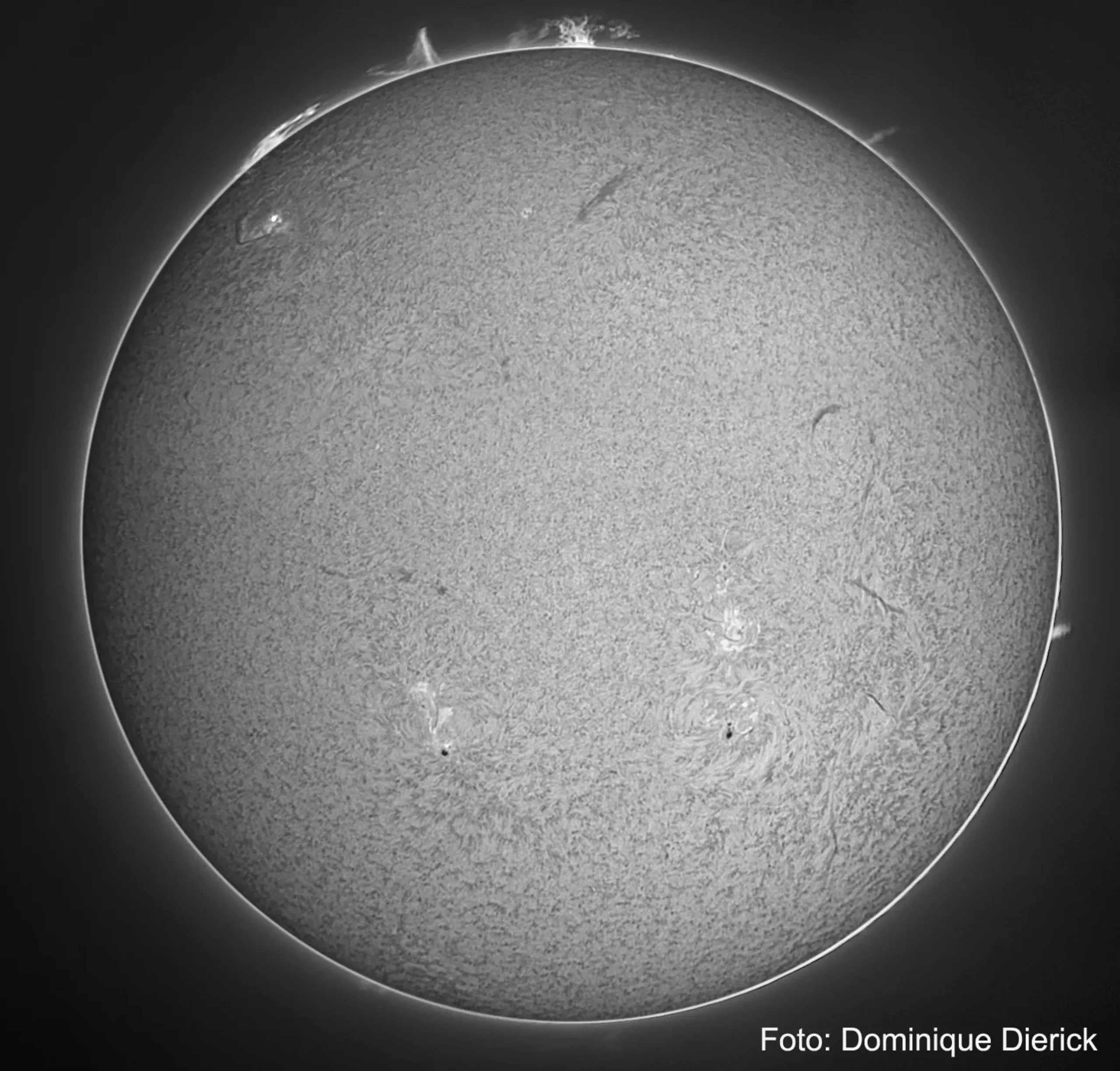 Bresser H-Alpha-Teleskope|Sonnenteleskope>LUNT LS40THa/B600 H-Alpha Sonnenteleskop