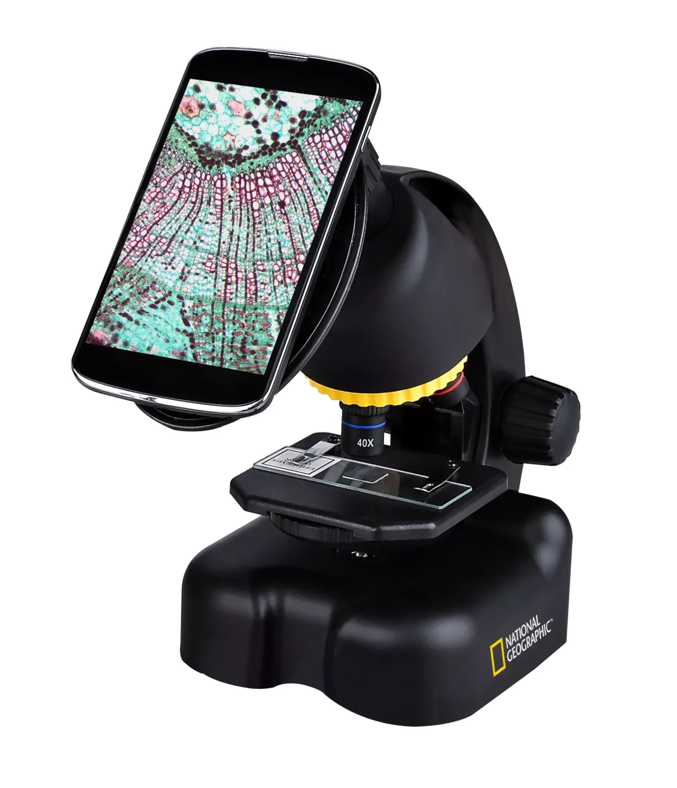 Kinder Bresser Kindermikroskop|Kinderteleskop>NATIONAL GEOGRAPHIC Kompakt-Teleskop + Mikroskop mit Smartphonehalterung